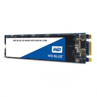 Ổ cứng SSD 250GB Western Digital WDS250G2B0B