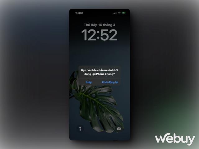 Cách khắc phục lỗi camera của iPhone bị nhấp nháy khi chụp ảnh hoặc quay video- Ảnh 8.