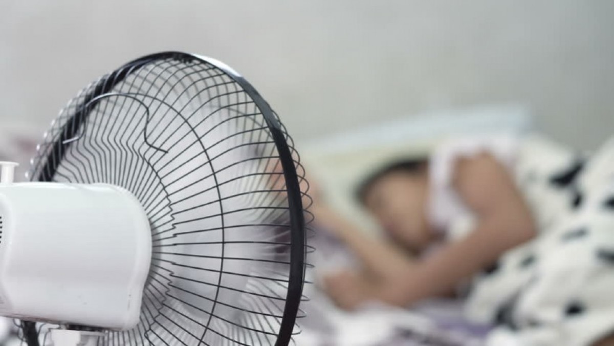 Quạt kêu to khi hoạt động có sao không: Thì ra bấy lâu rất nhiều người hiểu sai- Ảnh 1. Quạt kêu to khi hoạt động có sao không: Thì ra bấy lâu rất nhiều người hiểu sai- Ảnh 1.