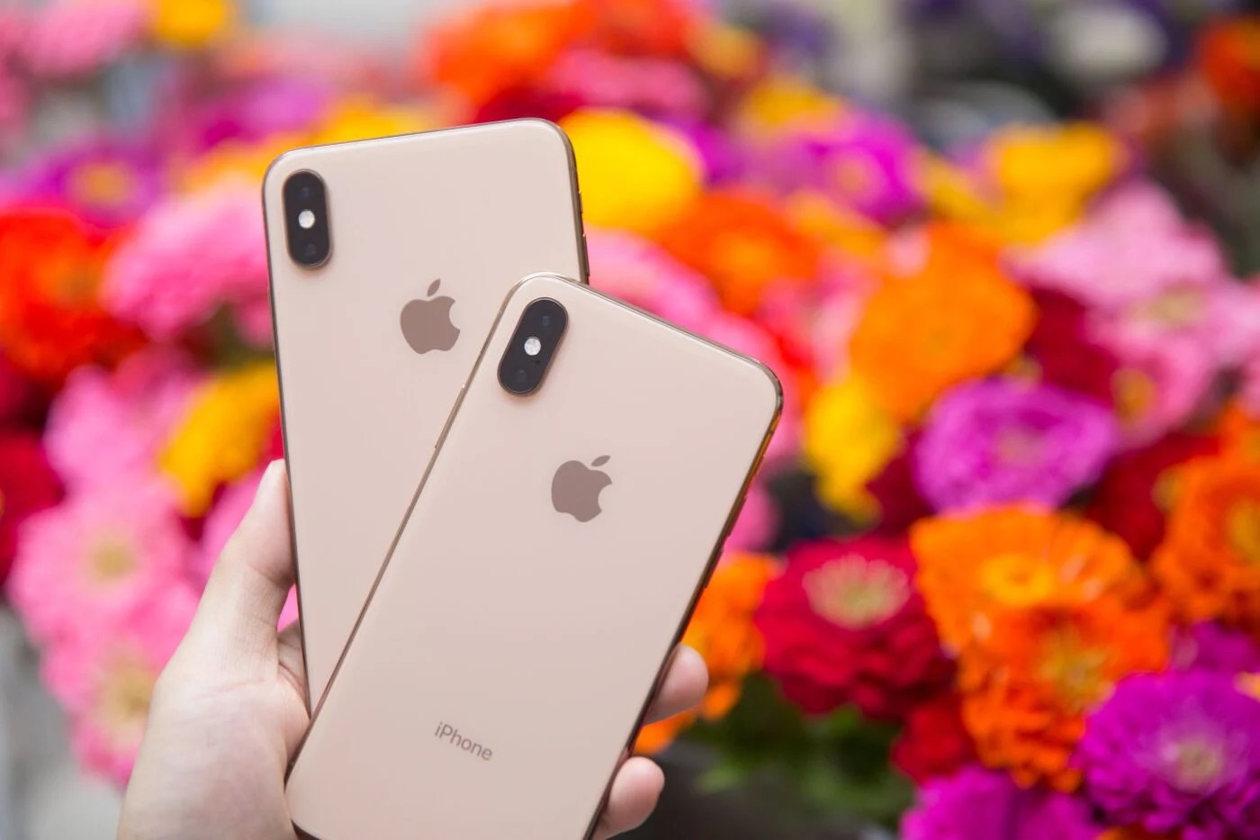 iPhone XS chính thức lọt vào danh sách 'đồ cổ': Siêu phẩm một thời đình đám giờ chỉ còn là dĩ vãng- Ảnh 1.